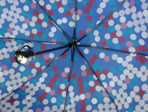 parasol