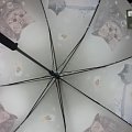 PARASOL